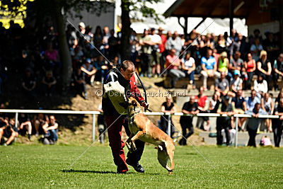 Gangster vom Haus Mecki