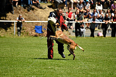 Gangster vom Haus Mecki