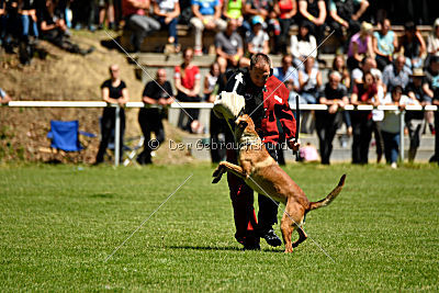 Gangster vom Haus Mecki