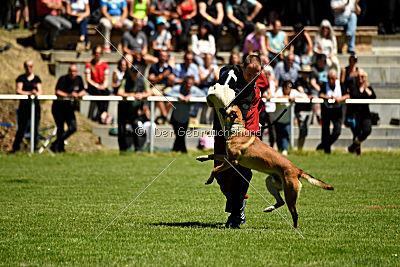 Gangster vom Haus Mecki