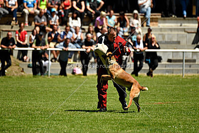 Gangster vom Haus Mecki
