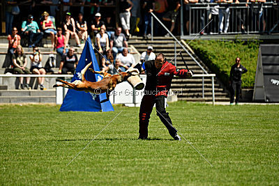 Gangster vom Haus Mecki