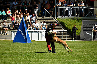 Gangster vom Haus Mecki