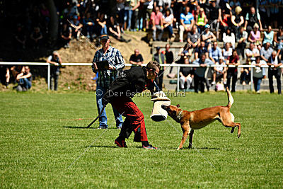 Gangster vom Haus Mecki
