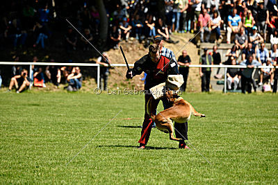 Gangster vom Haus Mecki