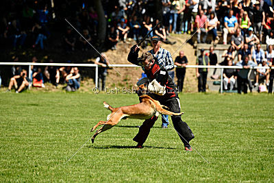 Gangster vom Haus Mecki