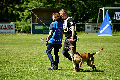 Gangster vom Haus Mecki