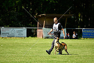 Gangster vom Haus Mecki