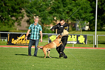 Gangster vom Haus Mecki