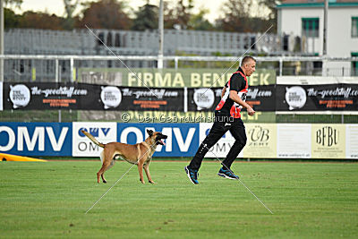 Gangster vom Haus Mecki
