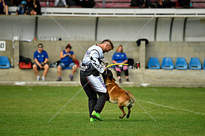 Garant z Údolí Jizery