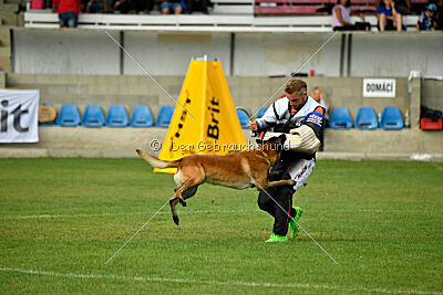 Garant z Údolí Jizery