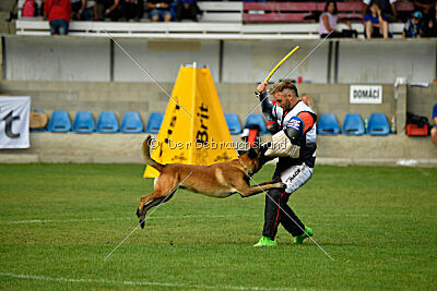 Garant z Údolí Jizery