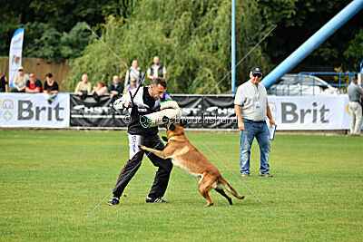 Garant z Údolí Jizery
