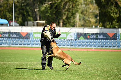 Garant z Údolí Jizery