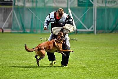 Gauner vom Eifeler Land