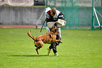 Gauner vom Eifeler Land