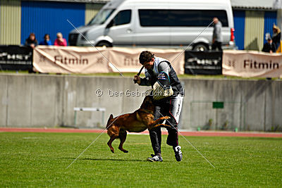 Gauner vom Eifeler Land