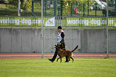 Gauner vom Eifeler Land