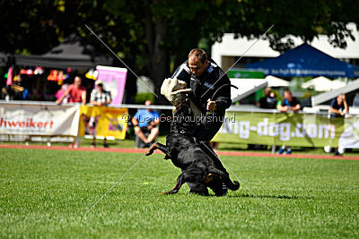 Gauner vom Tanneneck