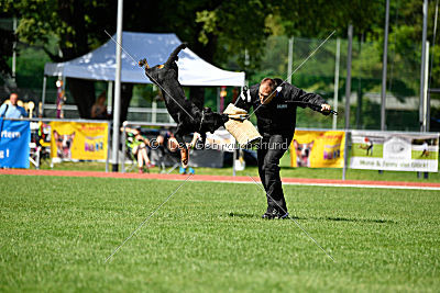 Gauner vom Tanneneck