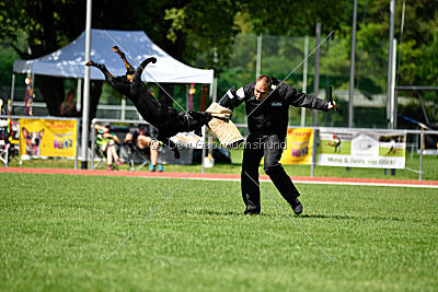 Gauner vom Tanneneck