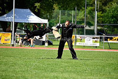 Gauner vom Tanneneck