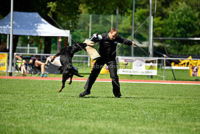 Gauner vom Tanneneck