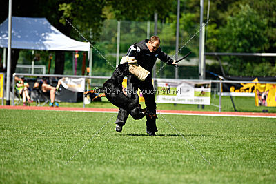 Gauner vom Tanneneck