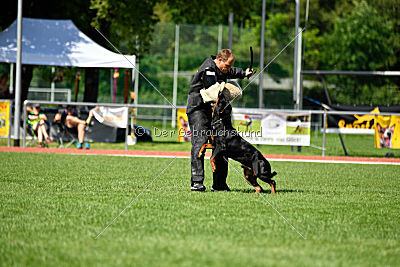 Gauner vom Tanneneck