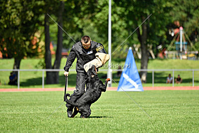 Gauner vom Tanneneck