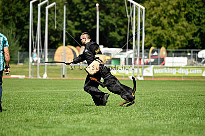 Gauner vom Tanneneck