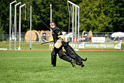 Gauner vom Tanneneck