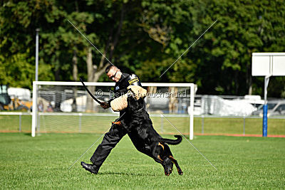 Gauner vom Tanneneck