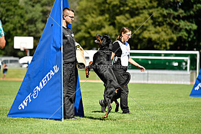 Gauner vom Tanneneck