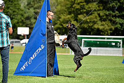 Gauner vom Tanneneck