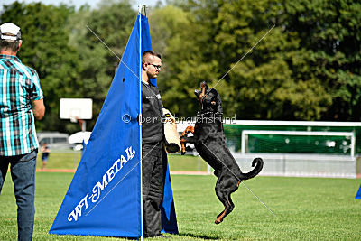 Gauner vom Tanneneck