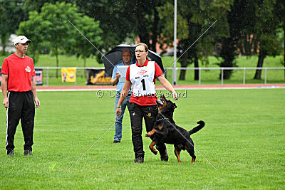 Gauner vom Tanneneck