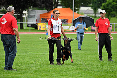 Gauner vom Tanneneck