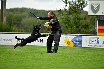 Gauner vom Tanneneck