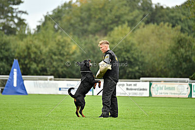 Gauner vom Tanneneck