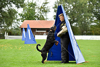 Gauner vom Tanneneck