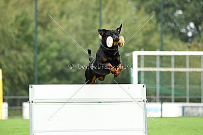 Gauner vom Tanneneck