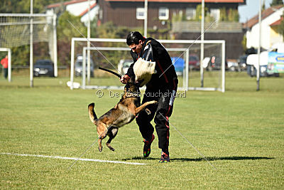 Gemfire the Flying Eagle