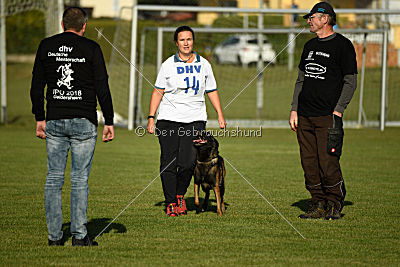 Gemfire the Flying Eagle