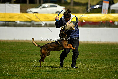 Genius Team Veranis K-9 Center