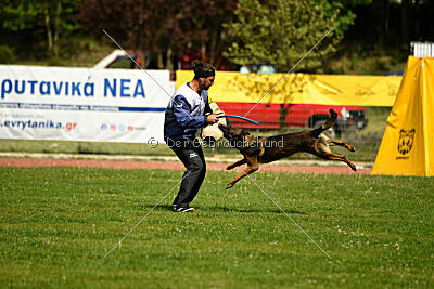 Genius Team Veranis K-9 Center