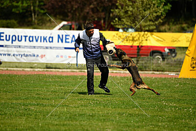 Genius Team Veranis K-9 Center