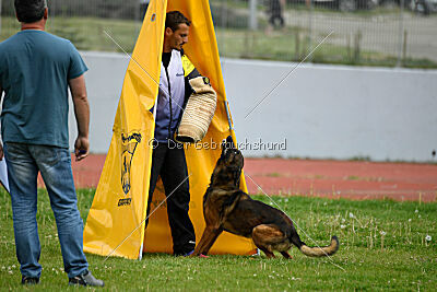 Genius Team Veranis K-9 Center