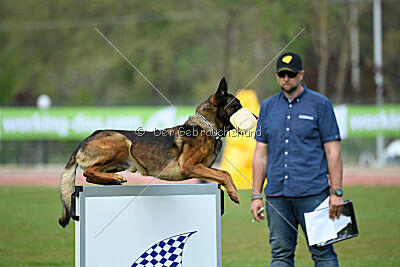 Genius Team Veranis K-9 Center